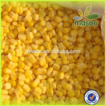 Canned sweet corn 3kg