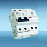 High Quality New Type C65L ELCB