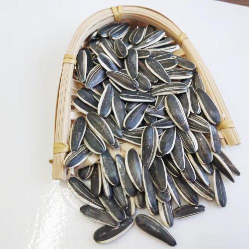 Healthy Raw Sunflower Seeds With Good Reputation