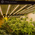 Phlizon New Product 960w full Spectrum LED