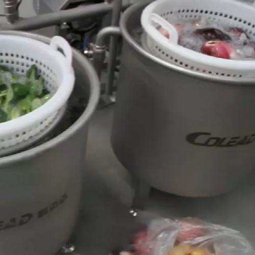 Commercial basket type vegetable washing machine