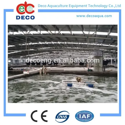 100m3 DECO Recirculating Aquaculture System for catfish