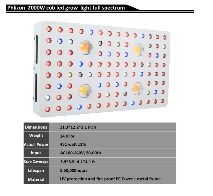 2000 growth light