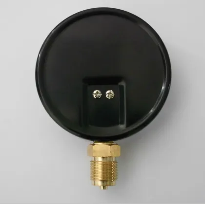double pointer liquid filled wise pressure gauge 50mm