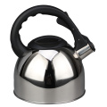 Best Gift Stainless Steel Tea Pot
