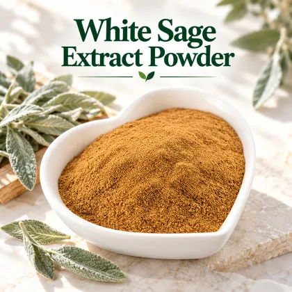 10:1 White Sage Extract Powder