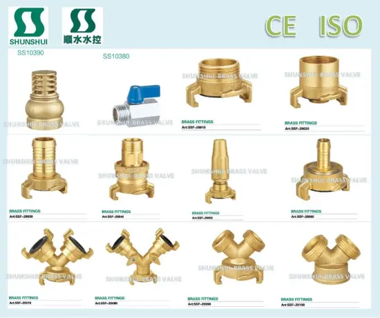 SSF20170 Brass fitting