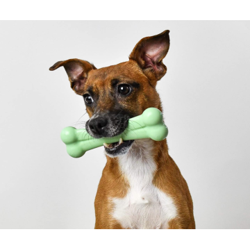 犬のためのタフなナイロン骨