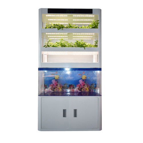 Hidropónico vertical con peces para verduras que crecen