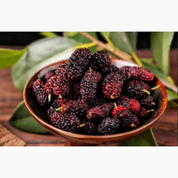 Nutrient-Rich Mulberry Fruit Powder for Smoothies and Baking