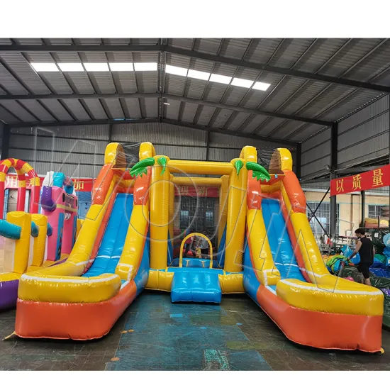 Factory Direct Inflatable Double Lane Water Slide and Trampoline Castle Rental