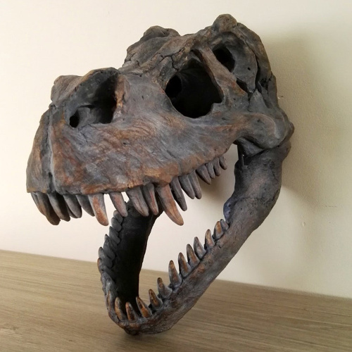 Full Size T Rex Skull for Sale