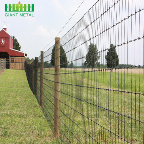 Cerca de fazenda galvanizada de metal mais barato