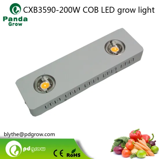 COB LED Grow Light Panel Full Spectrum 200W with 2pcs Cr ee CXB3590 or CXA3070 5000K and Meanwell drivers