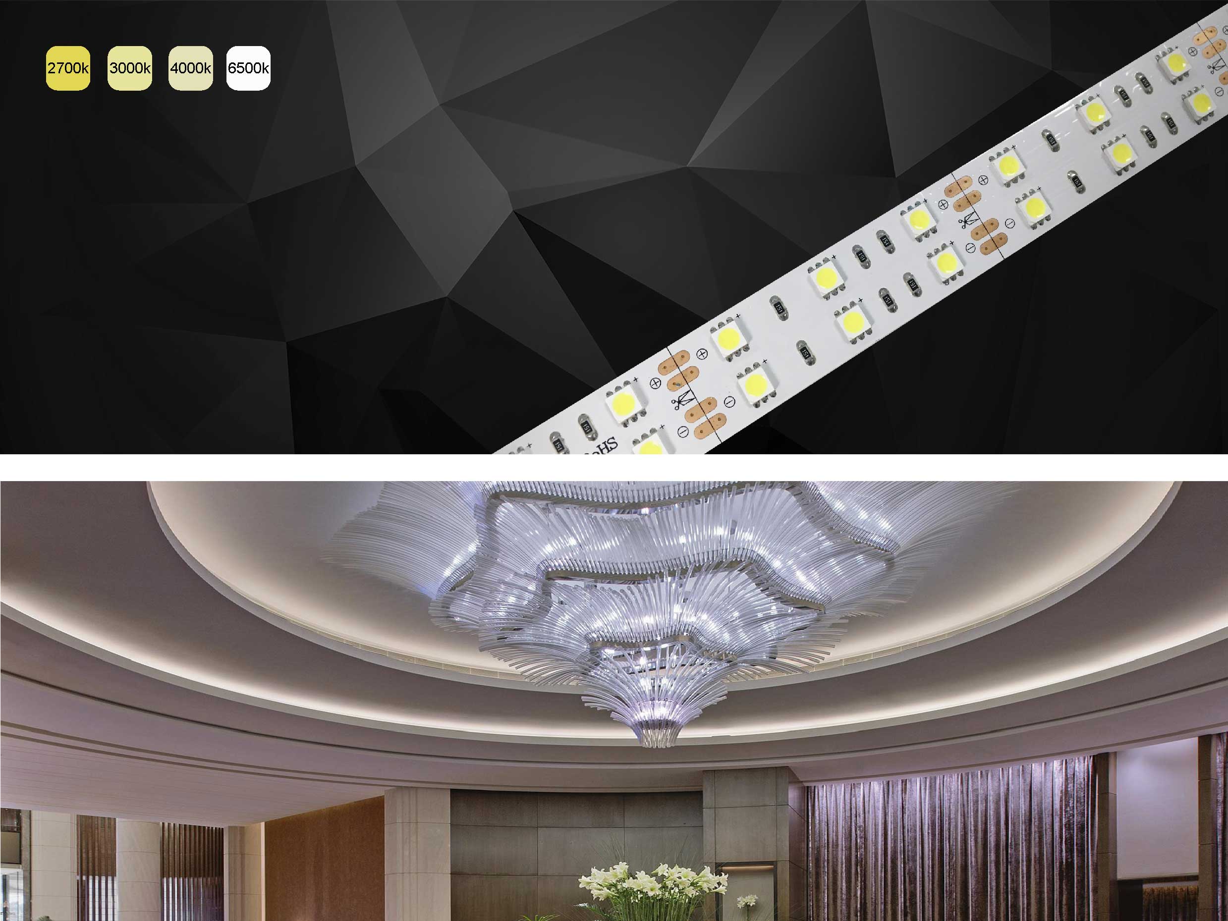 Commercial and House Contour Lighting
