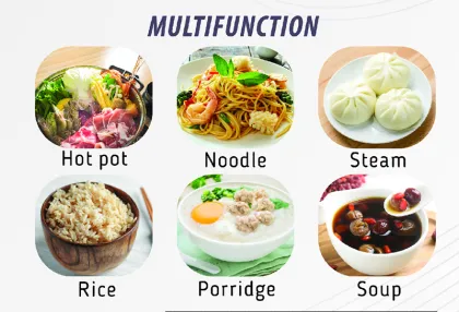 OEM 1.5L Electric Noodle Cooking Pot with Steamer