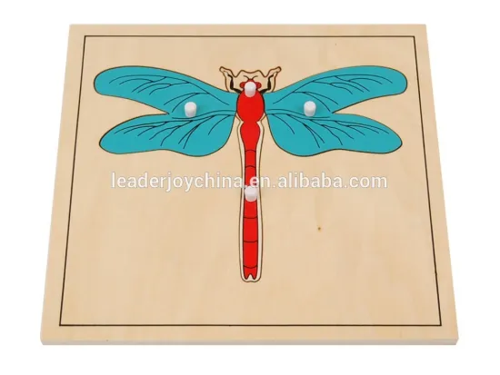 teaching aids model Dragonfly puzzle
