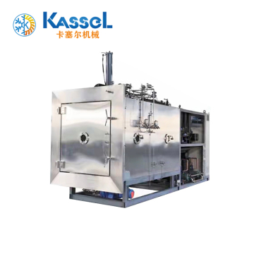 High Efficiency Fruit Vacuum Freeze Drying Equipment