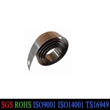 Stainless Steel Constant Force Spring