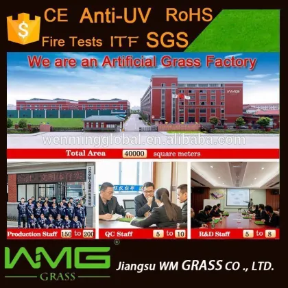 Tencate Thilion Fiber Artificial Turf Grass for Football Artificial Lawn