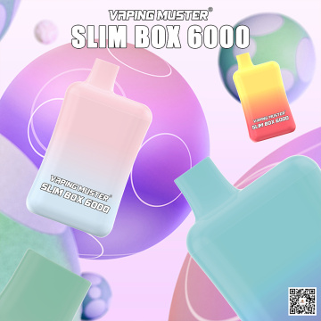 Slim Box Vape 6000 Puff