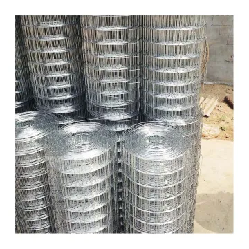 Hot Dipped Galvanized Welded Mesh 2x2 Welded Wire Mesh