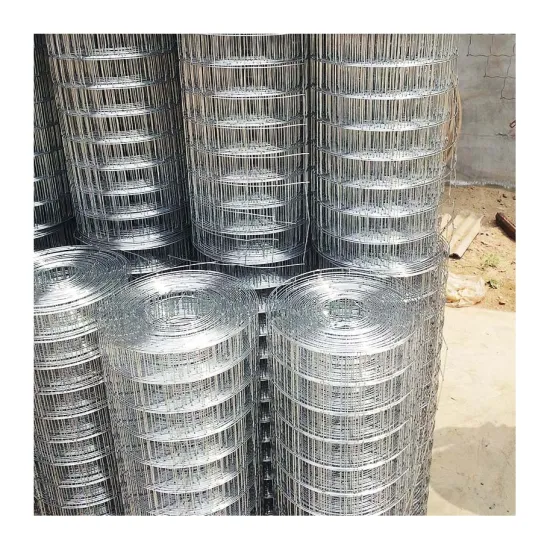 Hot Dipped Galvanized Welded Mesh 2x2 Welded Wire Mesh