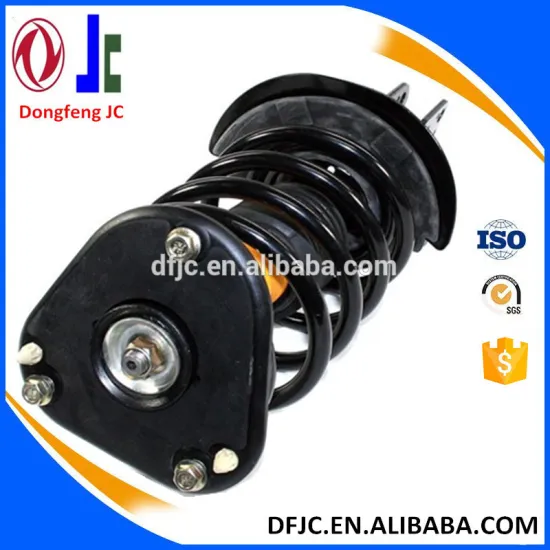 complete strut assembly zoning ordinance for Buick PARK AVENUE V6 1998 2005