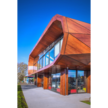 Revêtement en poudre de transfert de grain de bois résistant aux intempéries