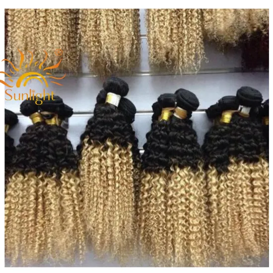 Sunlight 9a virgin hair 1b613 1b27 virgin brazilian/peruvian hair extension Virgin Hair curly bundles with closure