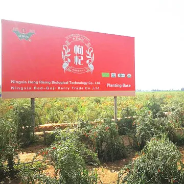 Goji berry to balance blood sugar