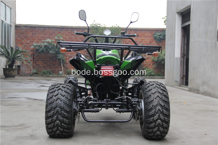 Electric Adult Quad