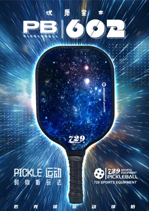729 pickleball 602 dark blue sky