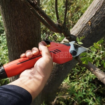 Tijeras de corte de ramas para árboles frutales