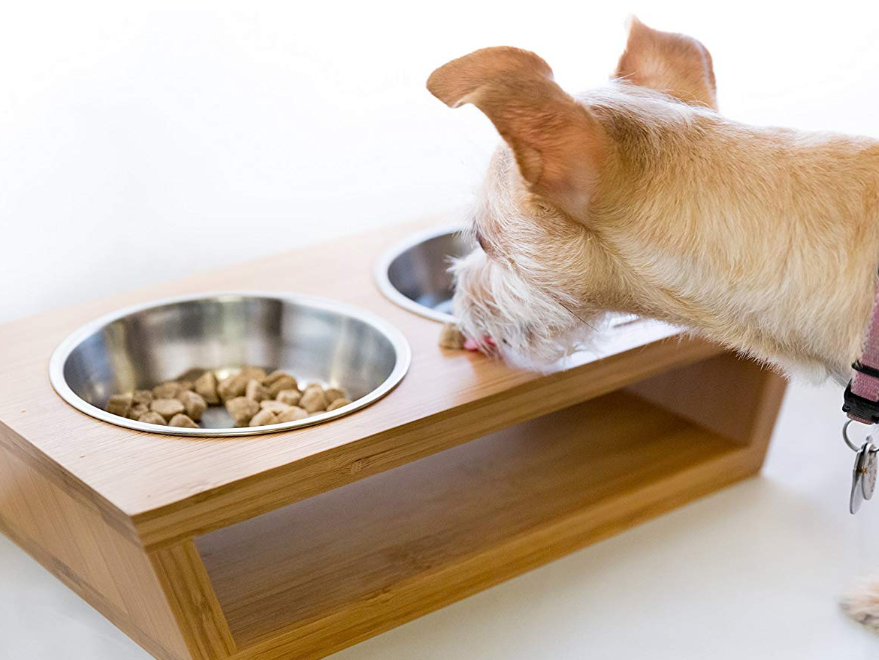 Premium Elevated Pet bowls