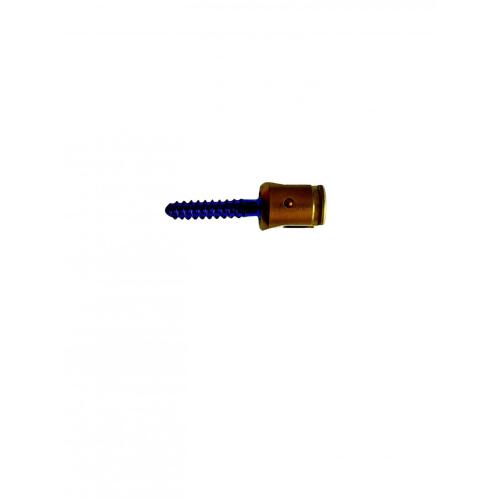 Spinal Screw Shaft Polyaxial Pedicle Screw for Spinal Internal Fixation System Manufactory