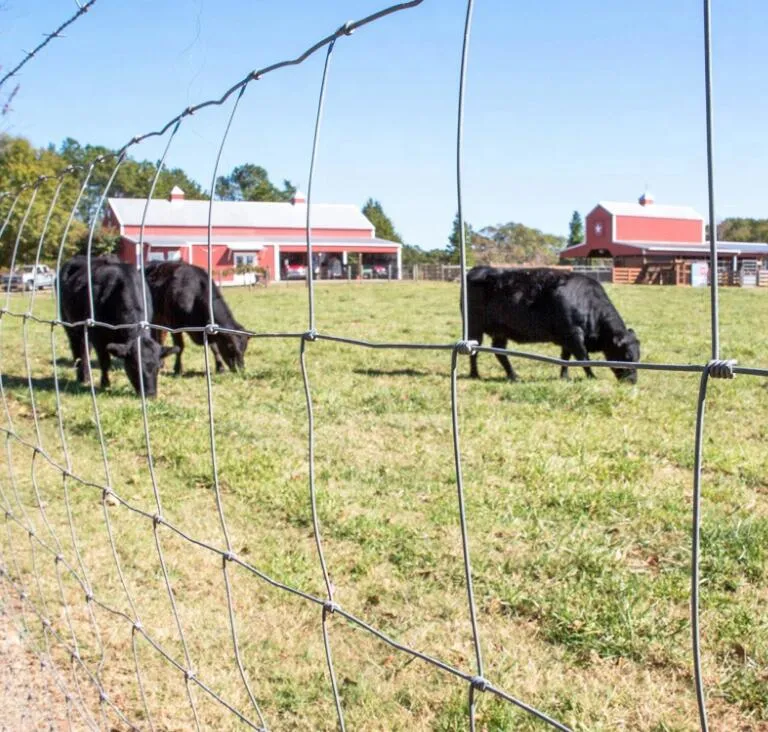 Cerca de ganado galvanizado/cerca de ciervos/pastizales cerca de campo