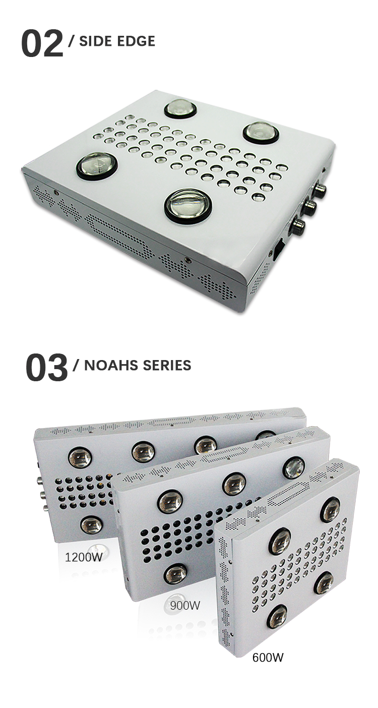 Noah4-s-new_12