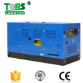 Global Warranty Silent Diesel Generator Price with ATS