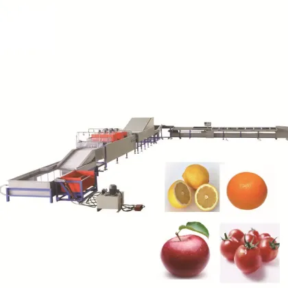 Fruit and Vegetable Grading Sorting Machine with Inspection Conveyor