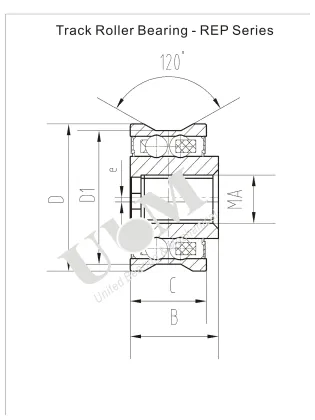 REP Series Bearing, High Precision Bearing