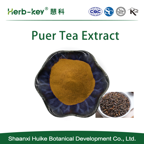 Высококачественный чай Puer PU Erh Tea Etract