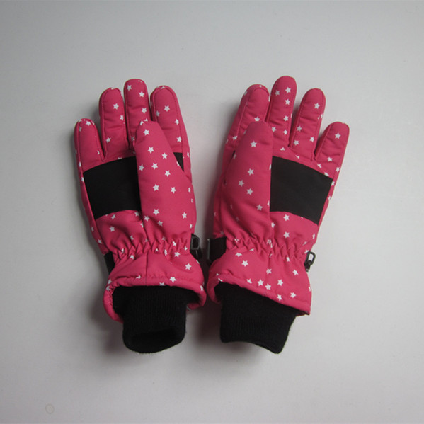 Ski Gloves