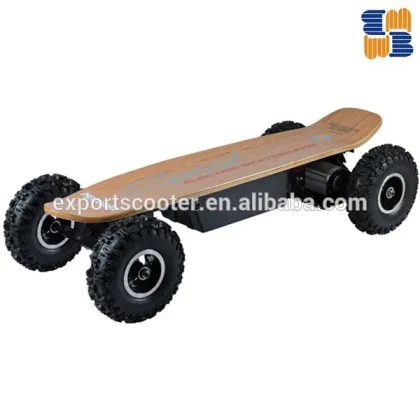 800w ESB-800A electric skateboard sports newest