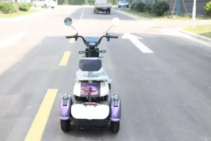 Lithium battery electric tricycle
