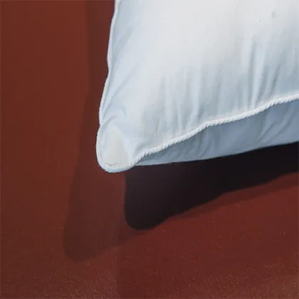 neck protector buckwheat pillow