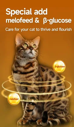 OEM complete low temperature baked cat food