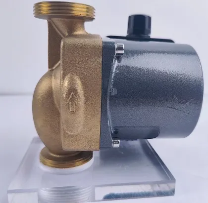 Iron Pump Head Hot Water Permanent Magnet Shielded Circulation Pump