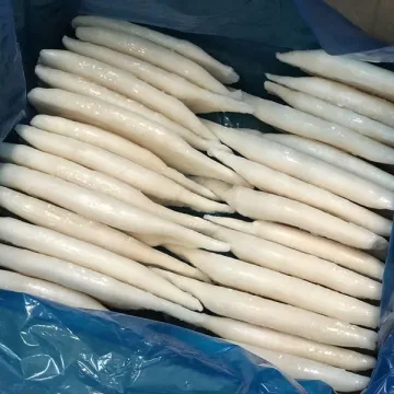 Frozen Calamari Squid Tube U7 U5 Well Treated