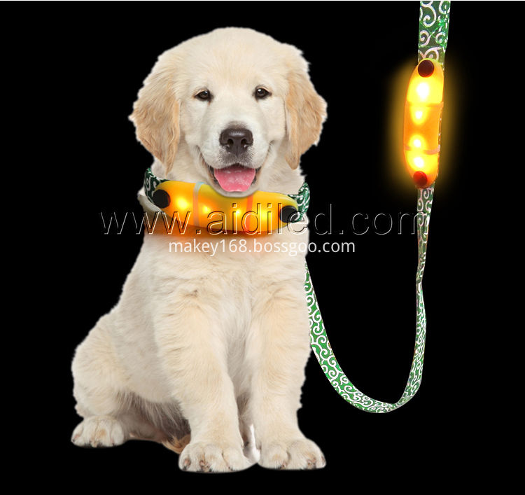 Light-Up Dog Leash